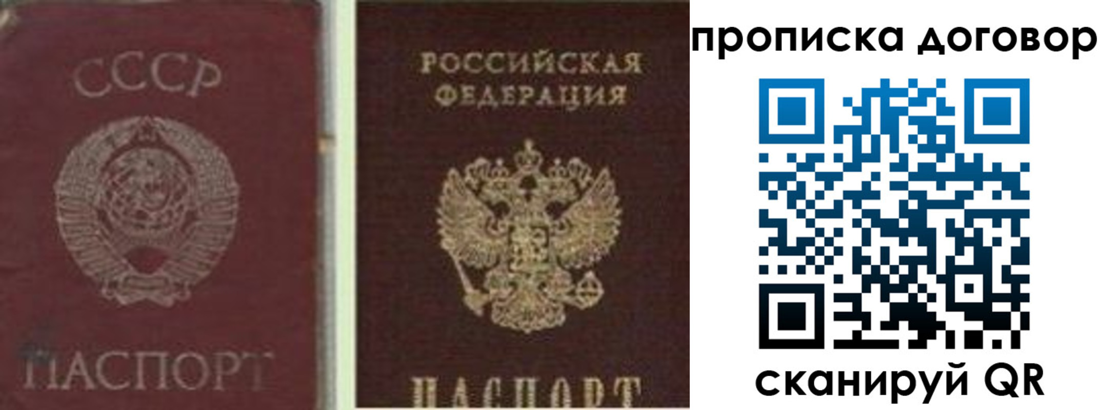 прописка гарантия в Радужном